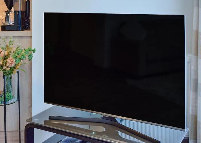 Ski-in Ski-out Brunner 2 *