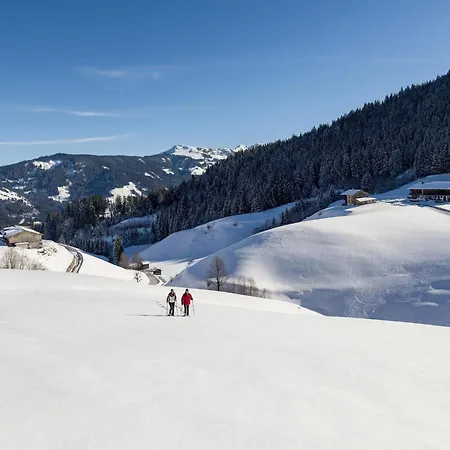 Ski-in Ski-out Brunner 2 Apartamento Niederau