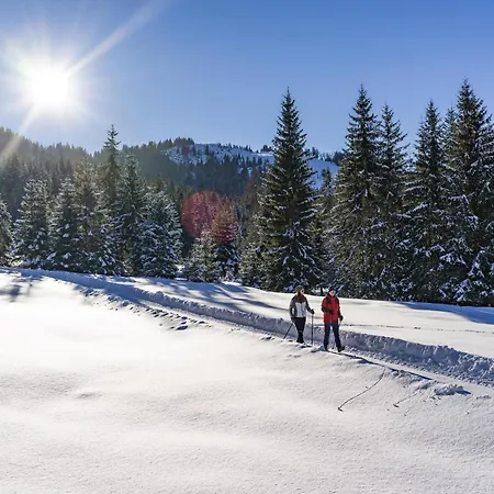 Ski-in Ski-out Brunner 2 Apartamento *